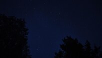 Using night vision mode on my camera made for an awesome shot.