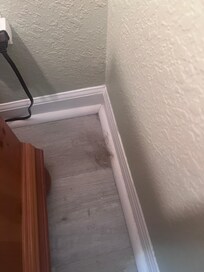 Primary bedroom-Dog hair piled in the corner.