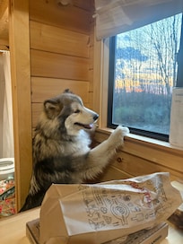 View from kitchen window