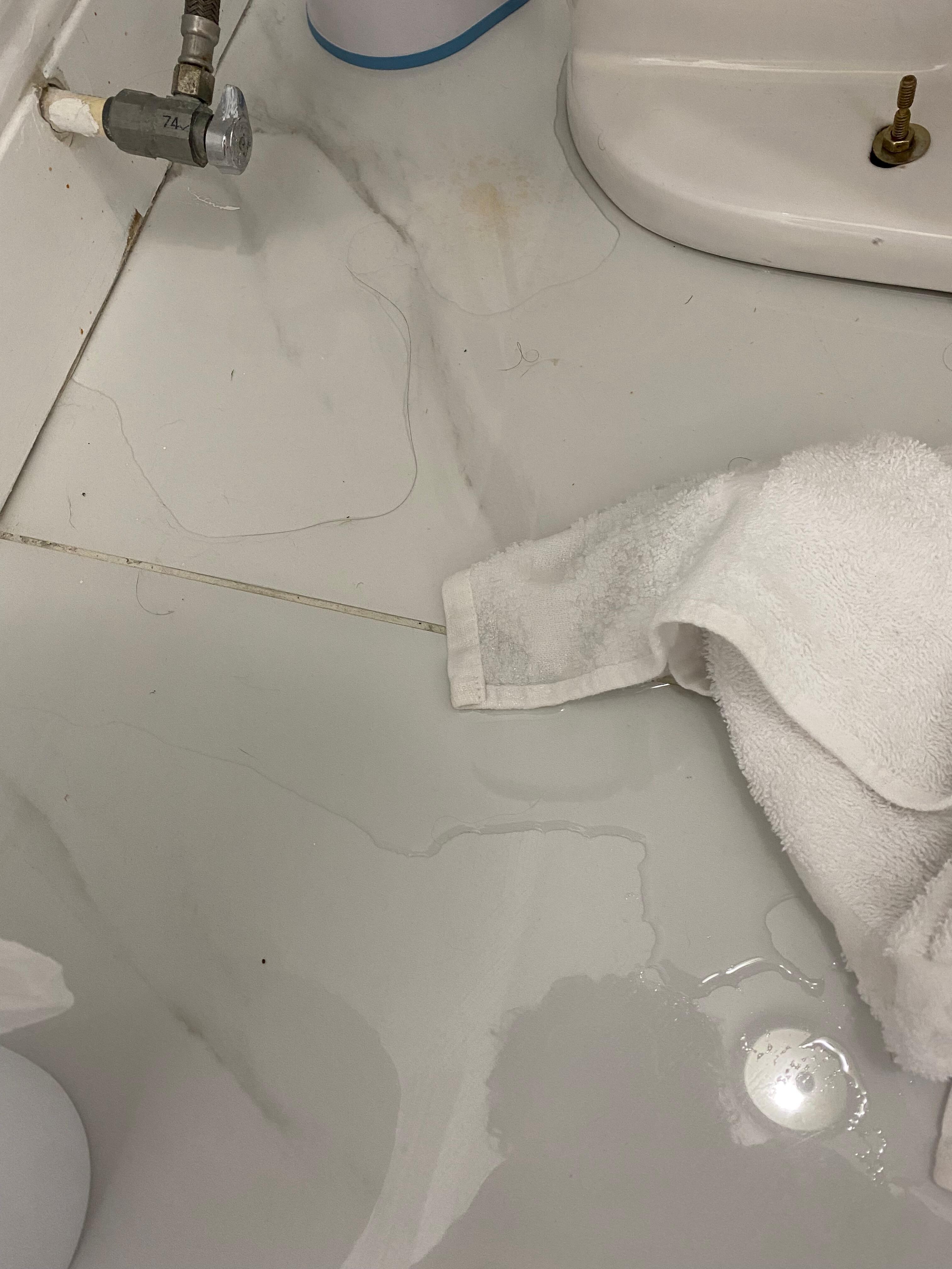 Leaking toilet from the bottom. 
