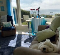 Beautiful place for our dog to catch a snooze