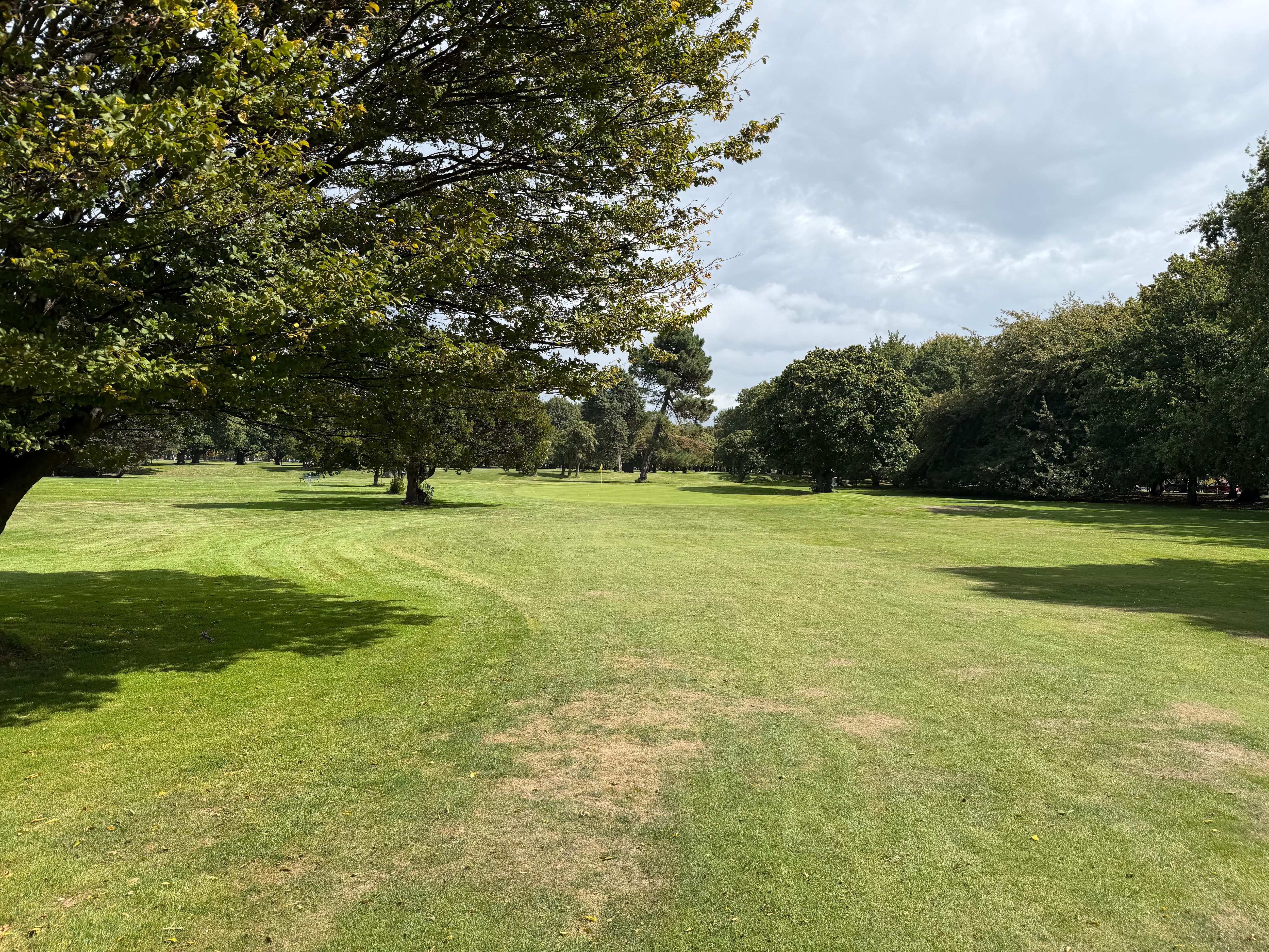 Golf on Hayley park next door
