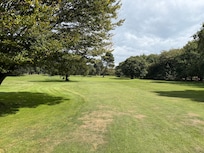 Golf on Hayley park next door