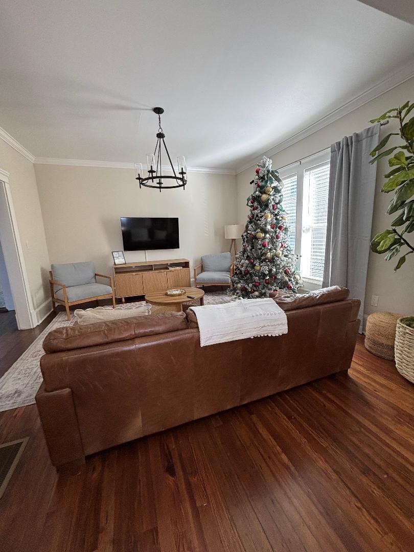 Main house living room with tree