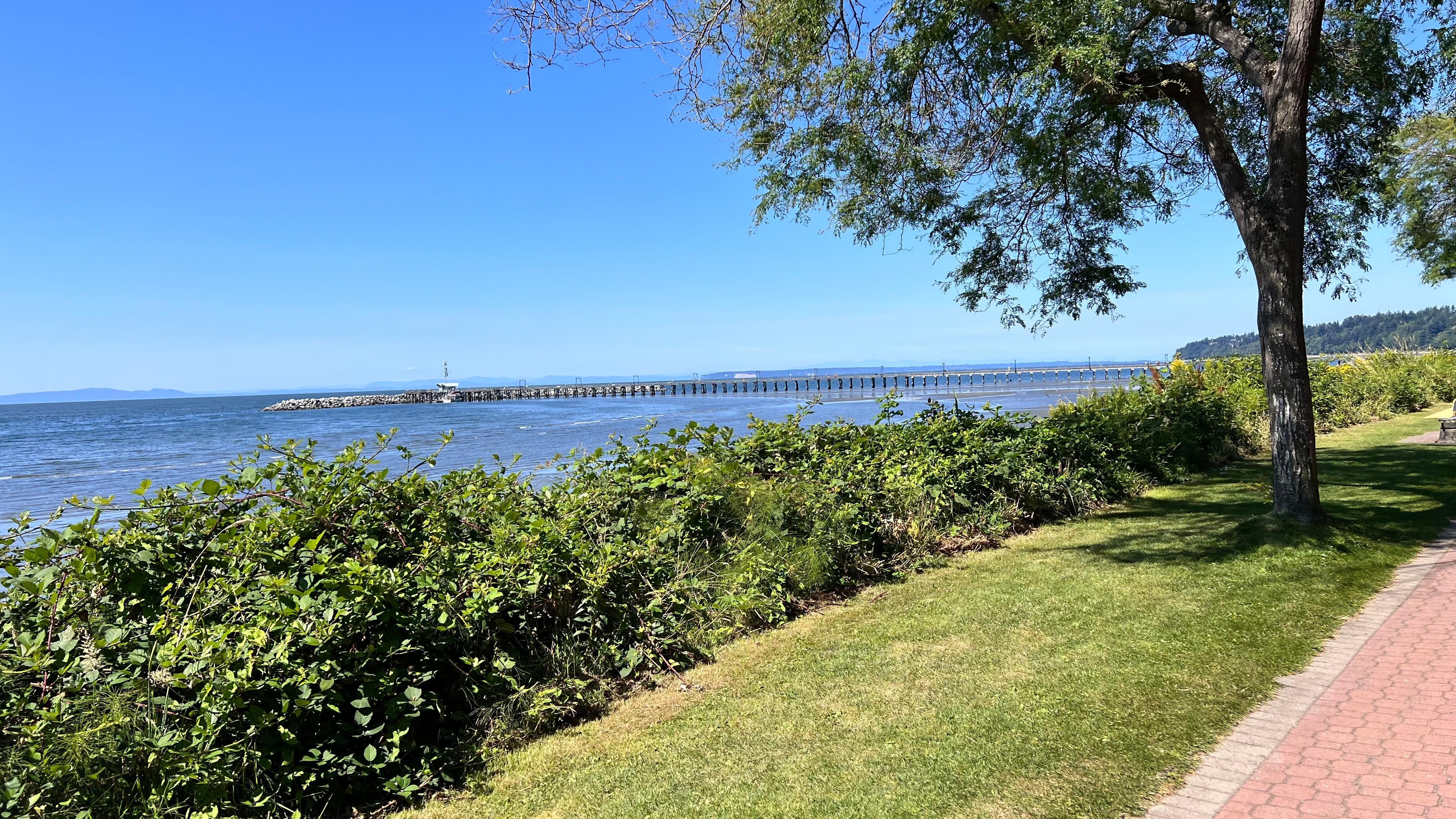 The walk along the path