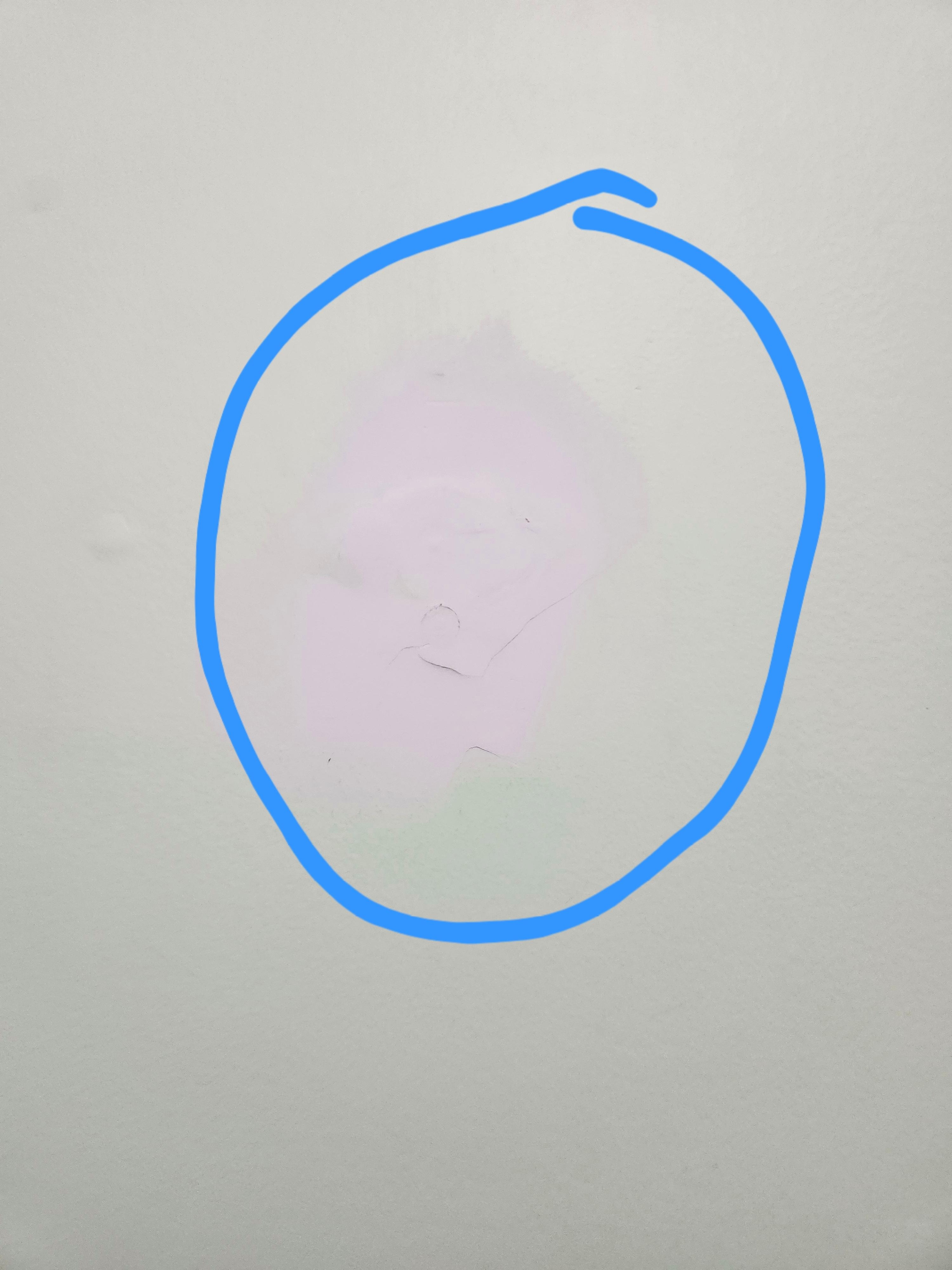 Hard to see in pic, but puttied up wall - could have painted.