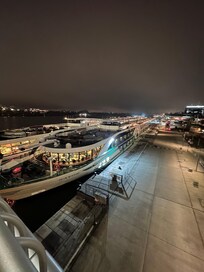 Pedestrian bridge view of Danube River !