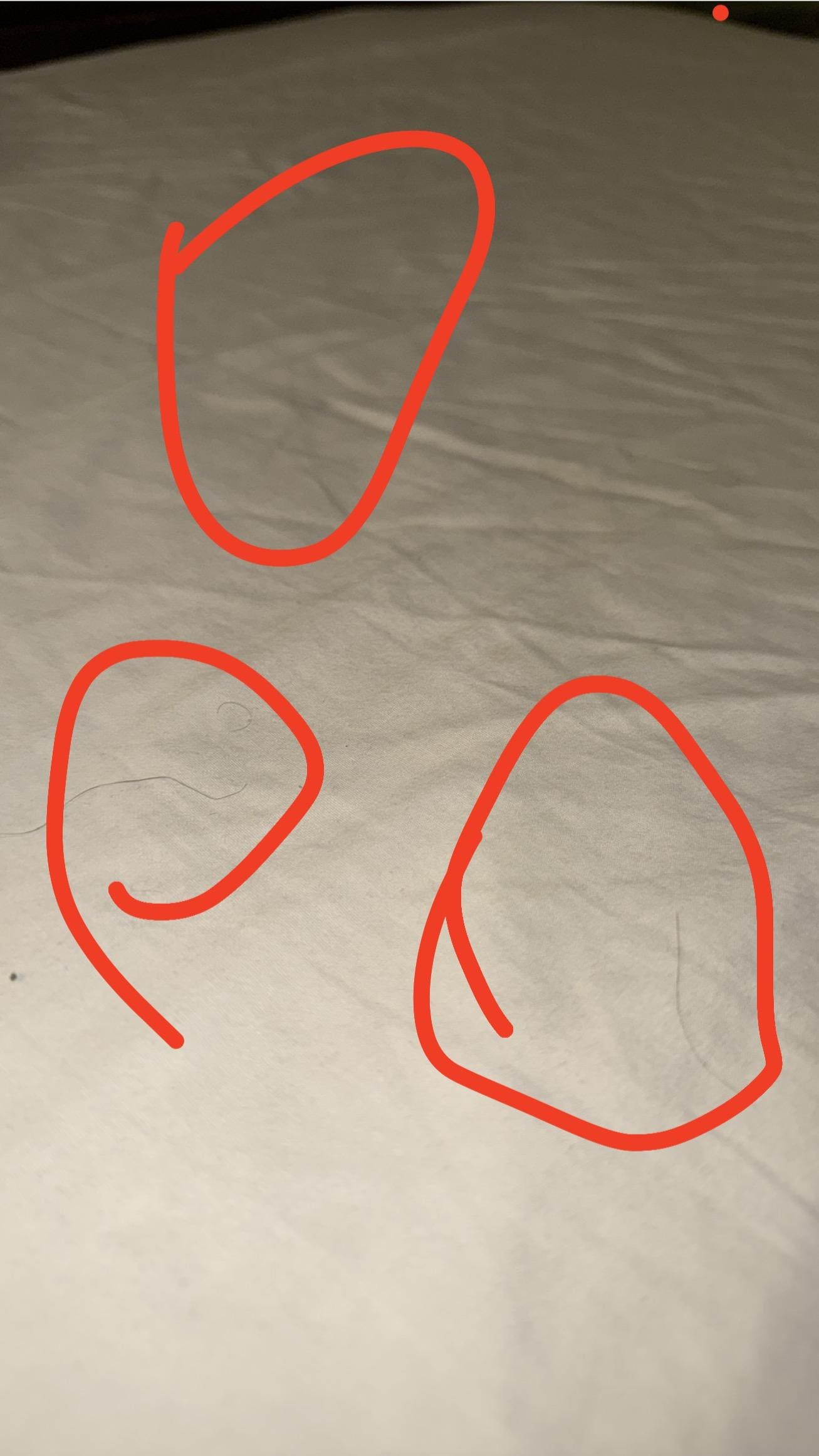 Someone else’s hair 