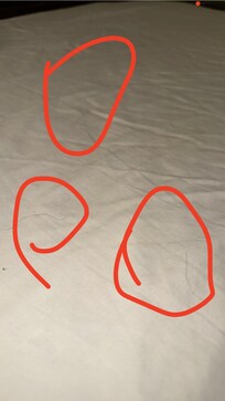 Someone else’s hair