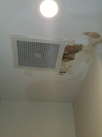 Ceiling leaks
