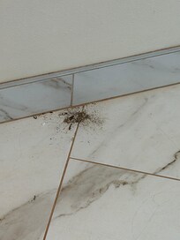 The pile in our master bathroom when we arrived