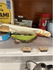 Rotten Banana