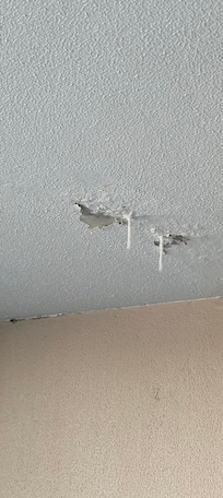 Ceiling