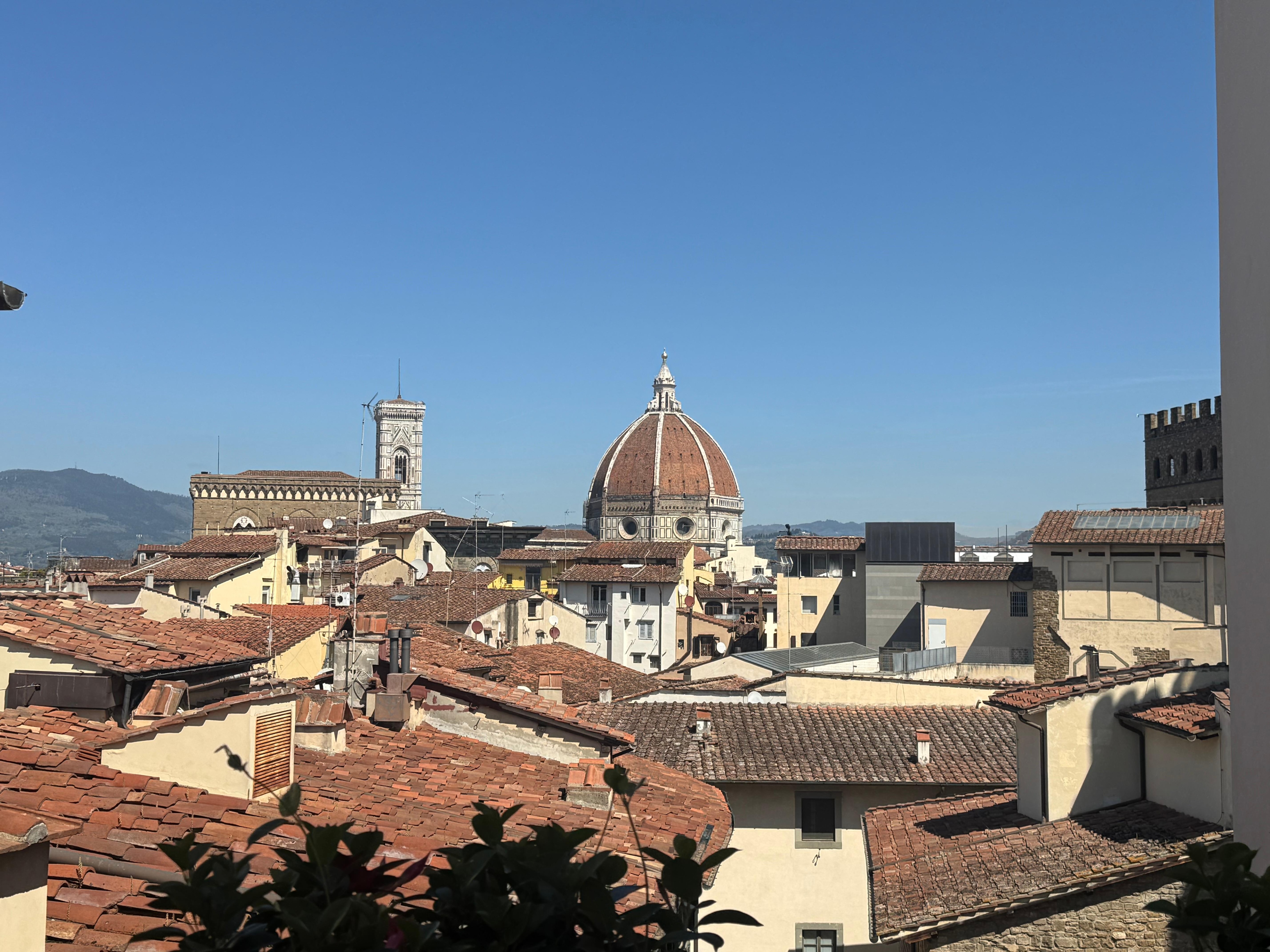 View from roof top bar