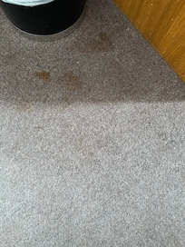 Stains on carpet