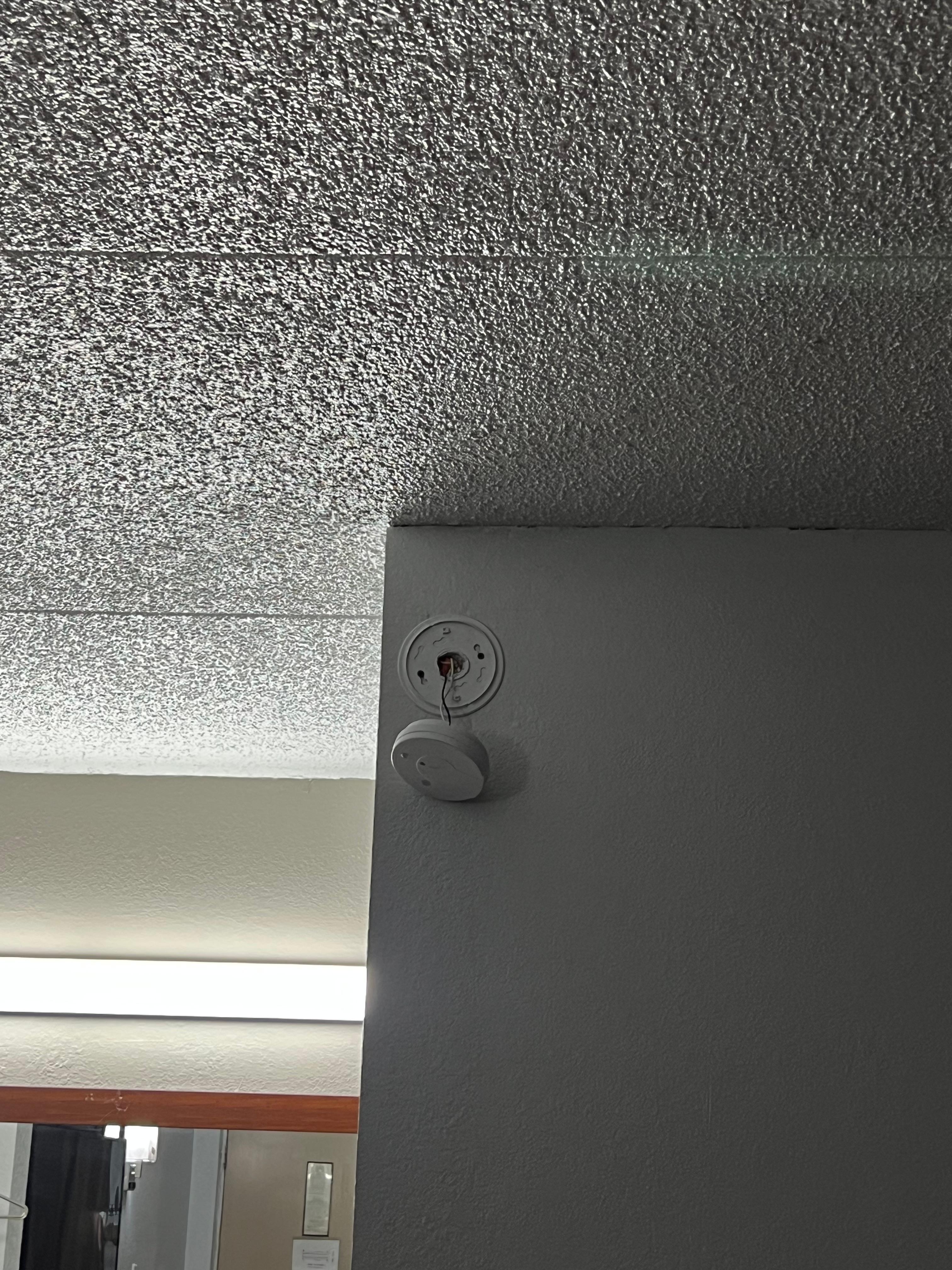 Fire detector hang out 