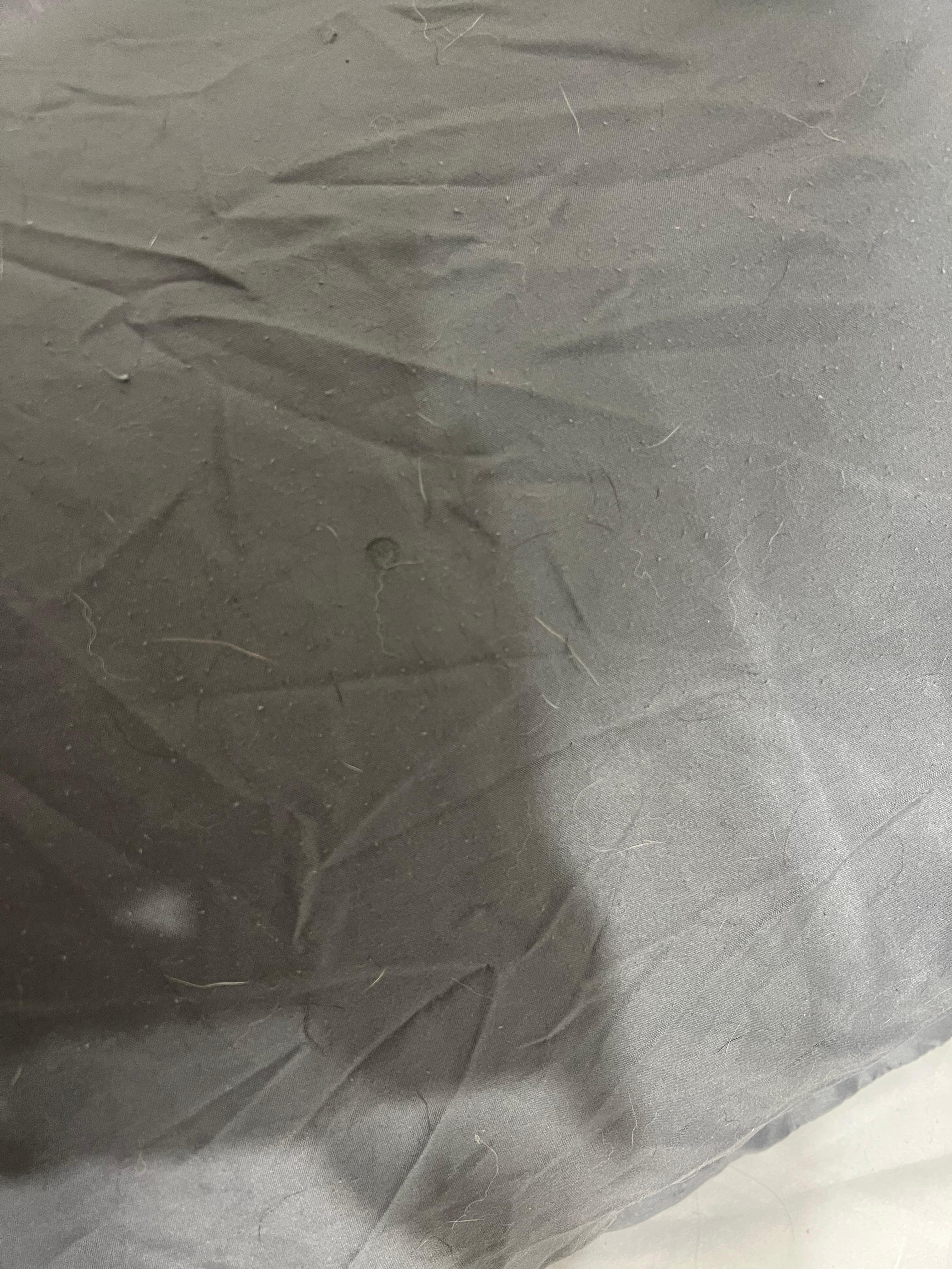 Pillow sham covered with dog hair 