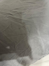 Pillow sham covered with dog hair