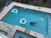 Pool view from back deck