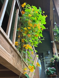 Beautiful flowers everywhere