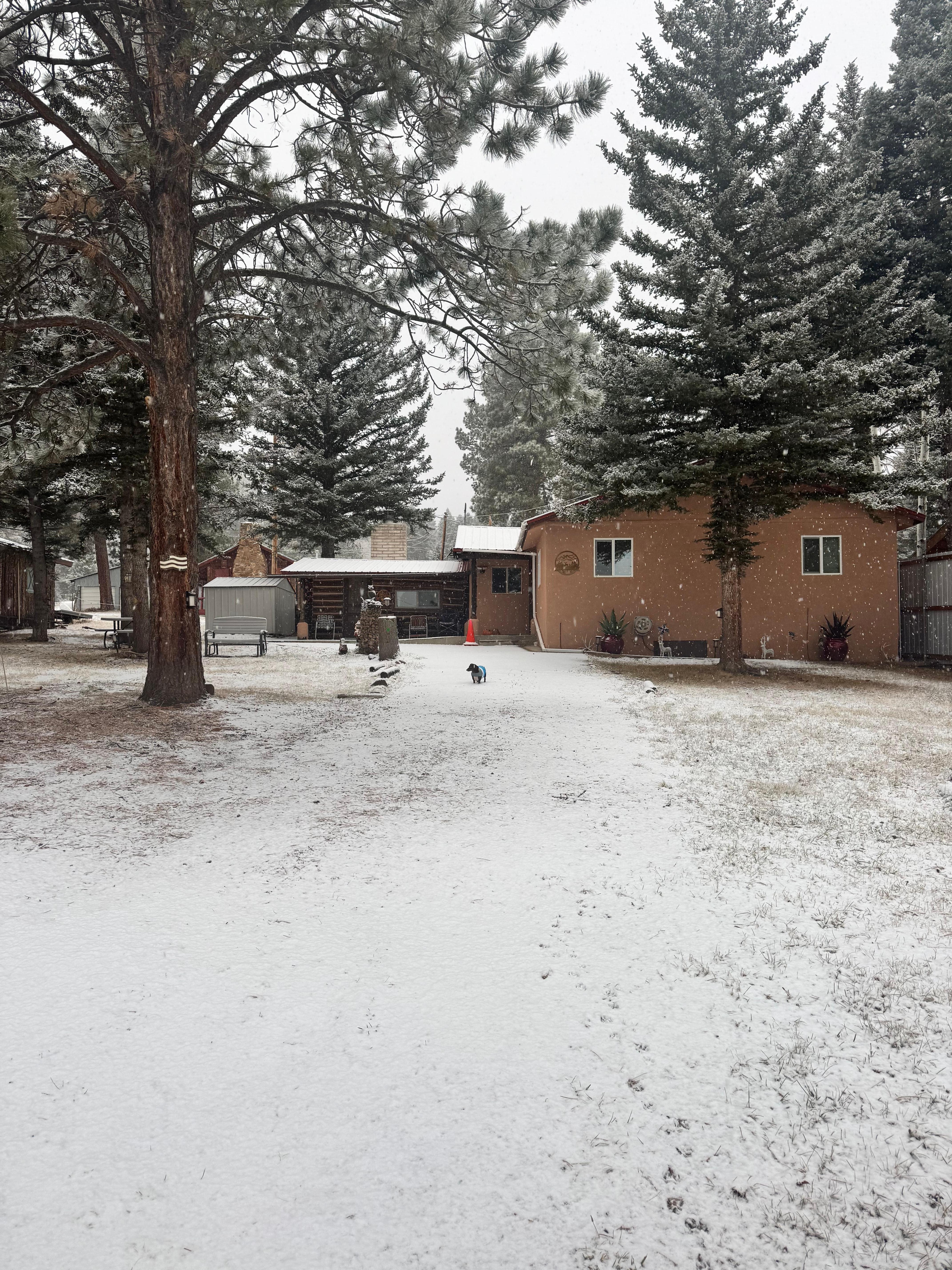 Beautiful first snow of the season