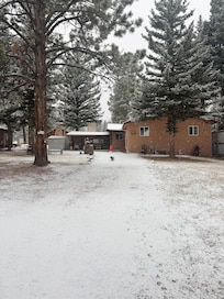 Beautiful first snow of the season