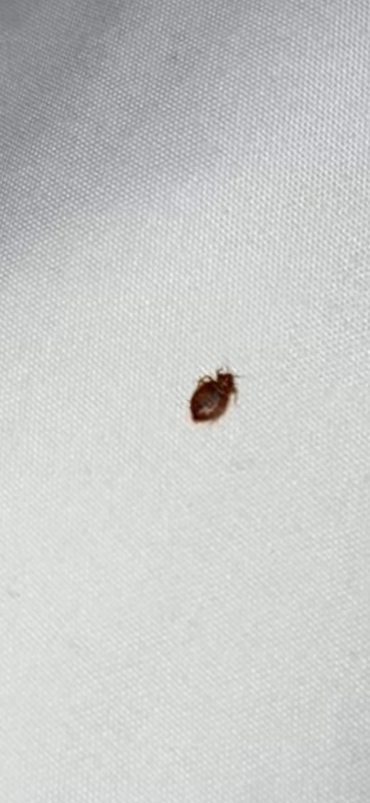 Found it when I woke up I threw in the sink 