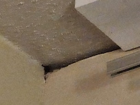 Black mold in room