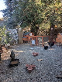 Love the addition of the chickens.