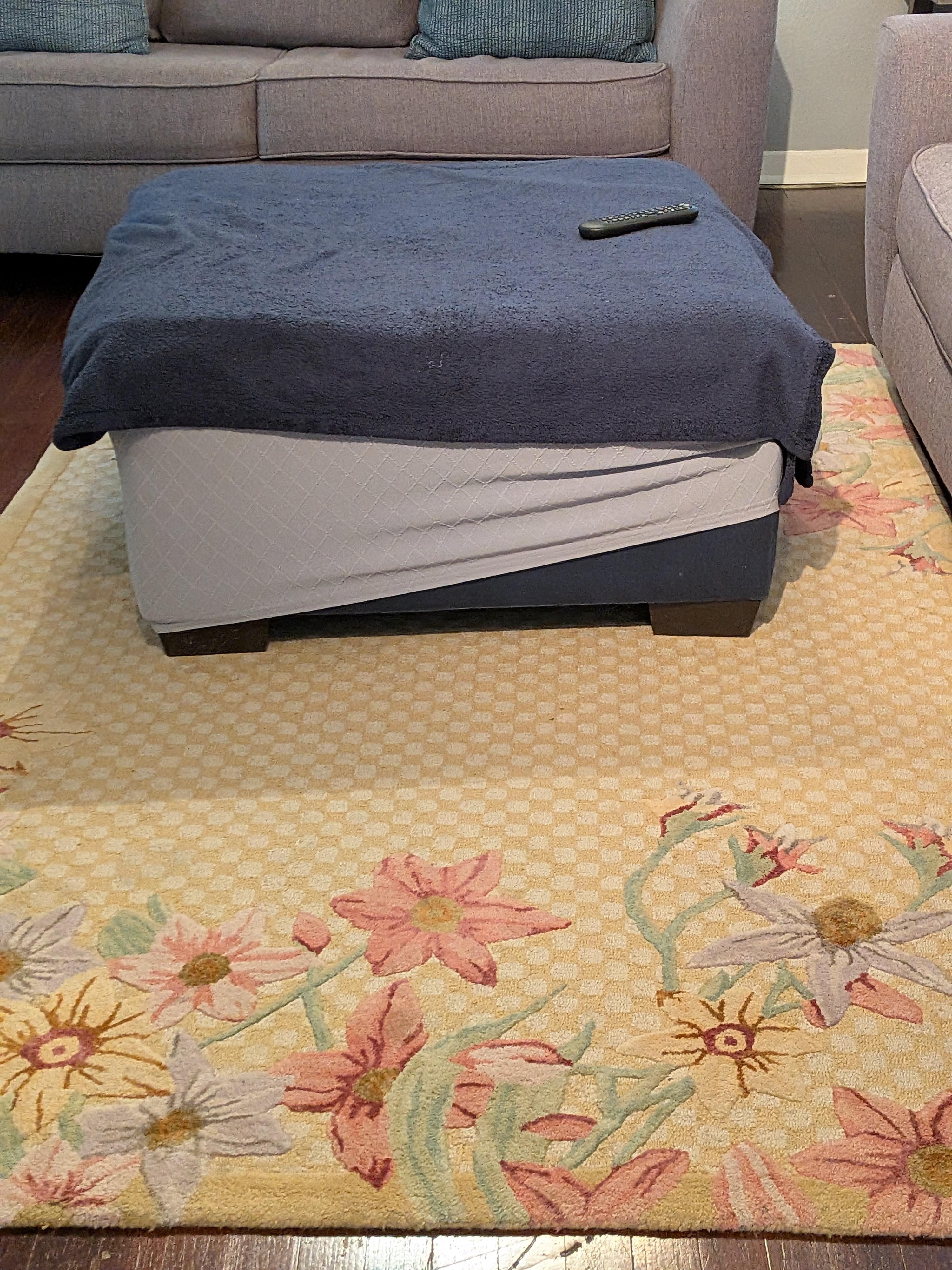 Garage sale furniture was gross and uncomfortable