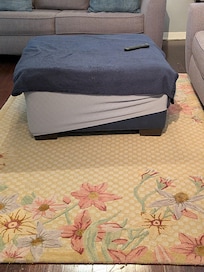 Garage sale furniture was gross and uncomfortable