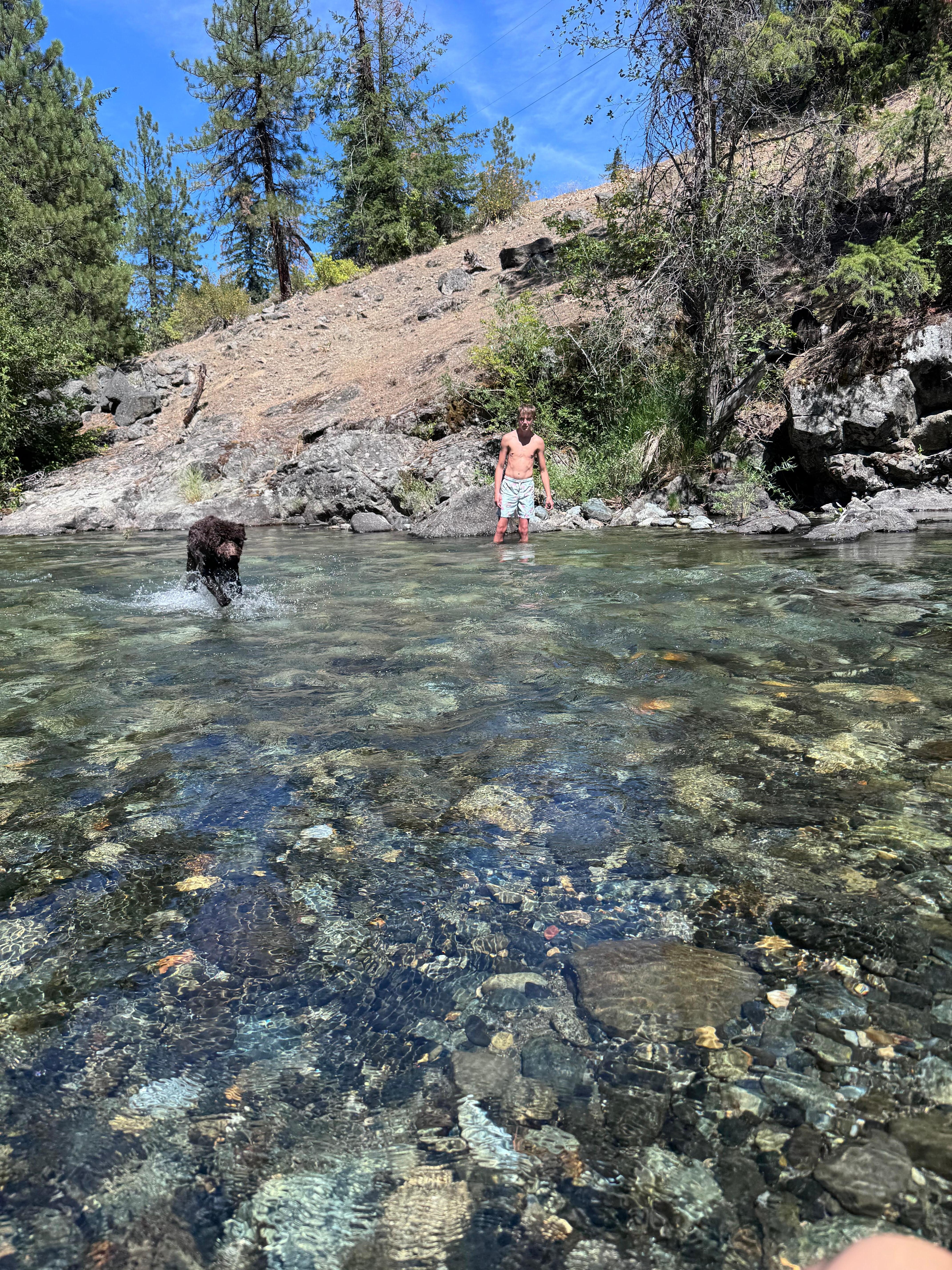 Creek at property