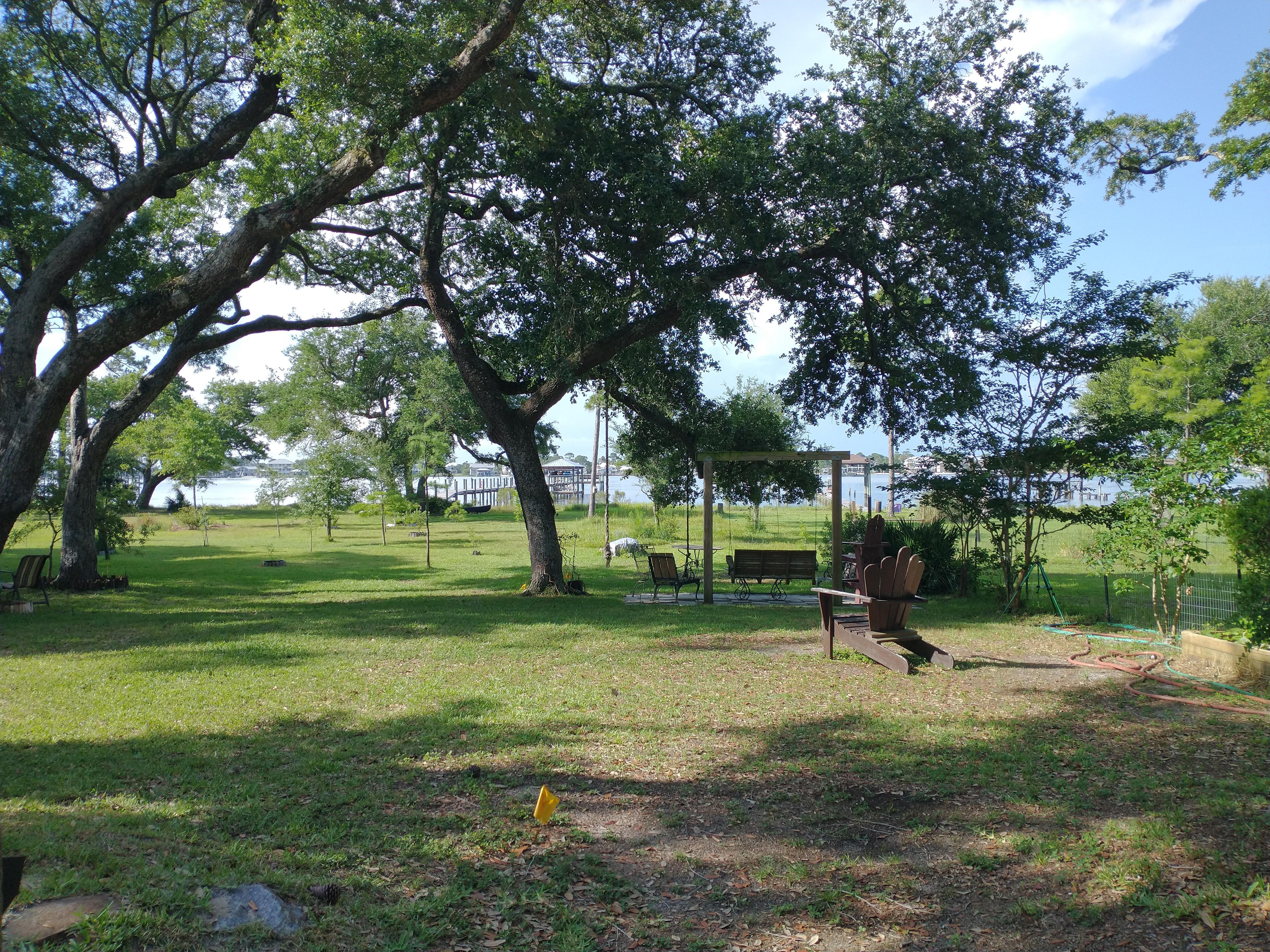 Backyard view