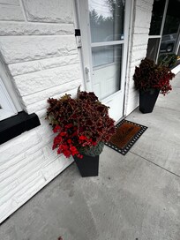 Tasteful floral accents on the exterior of the building.