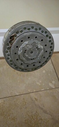 Nasty showerhead