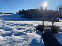 Vue depuis la terrasse
