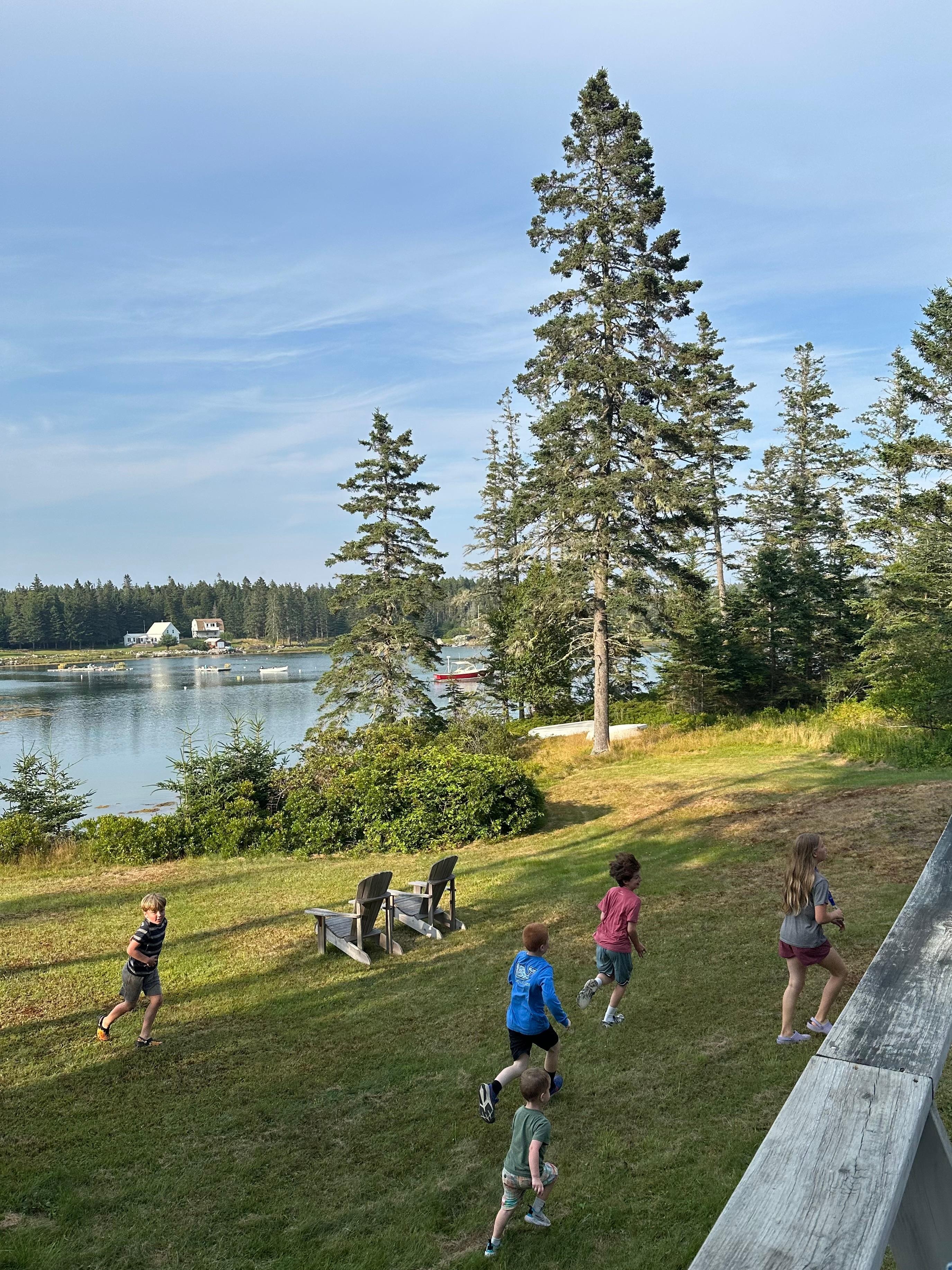 Kids enjoying the yard while we watched from the deck