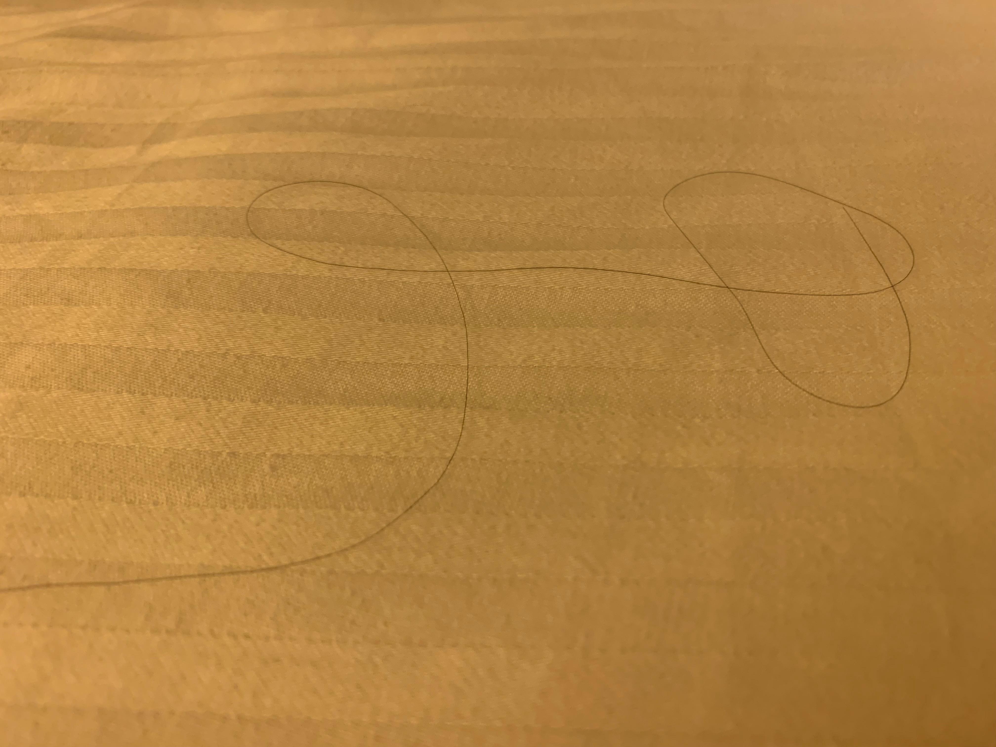 Dirty mattress with hair