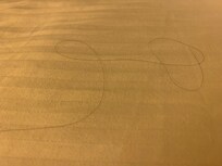 Dirty mattress with hair