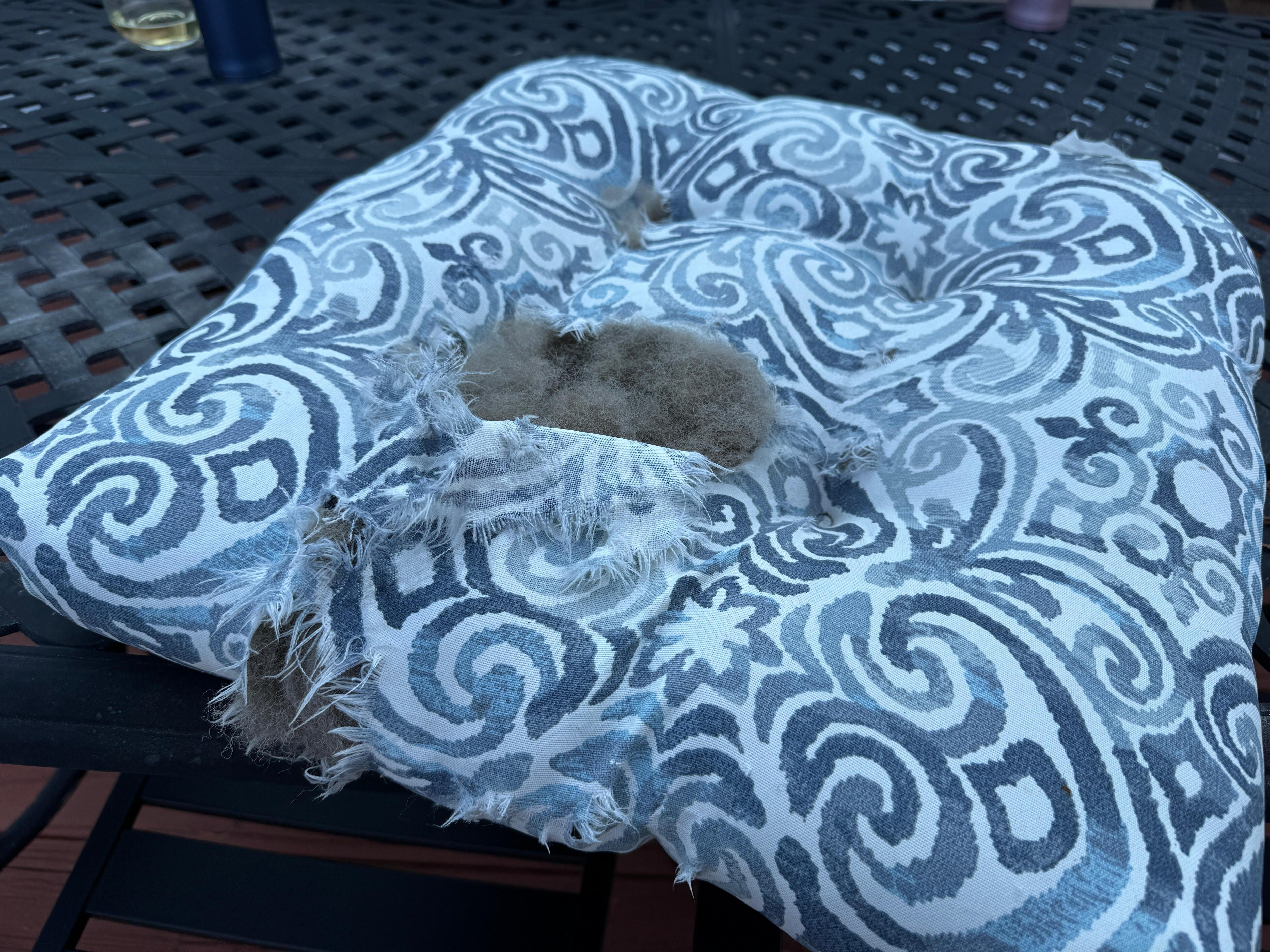Outdoor cushions