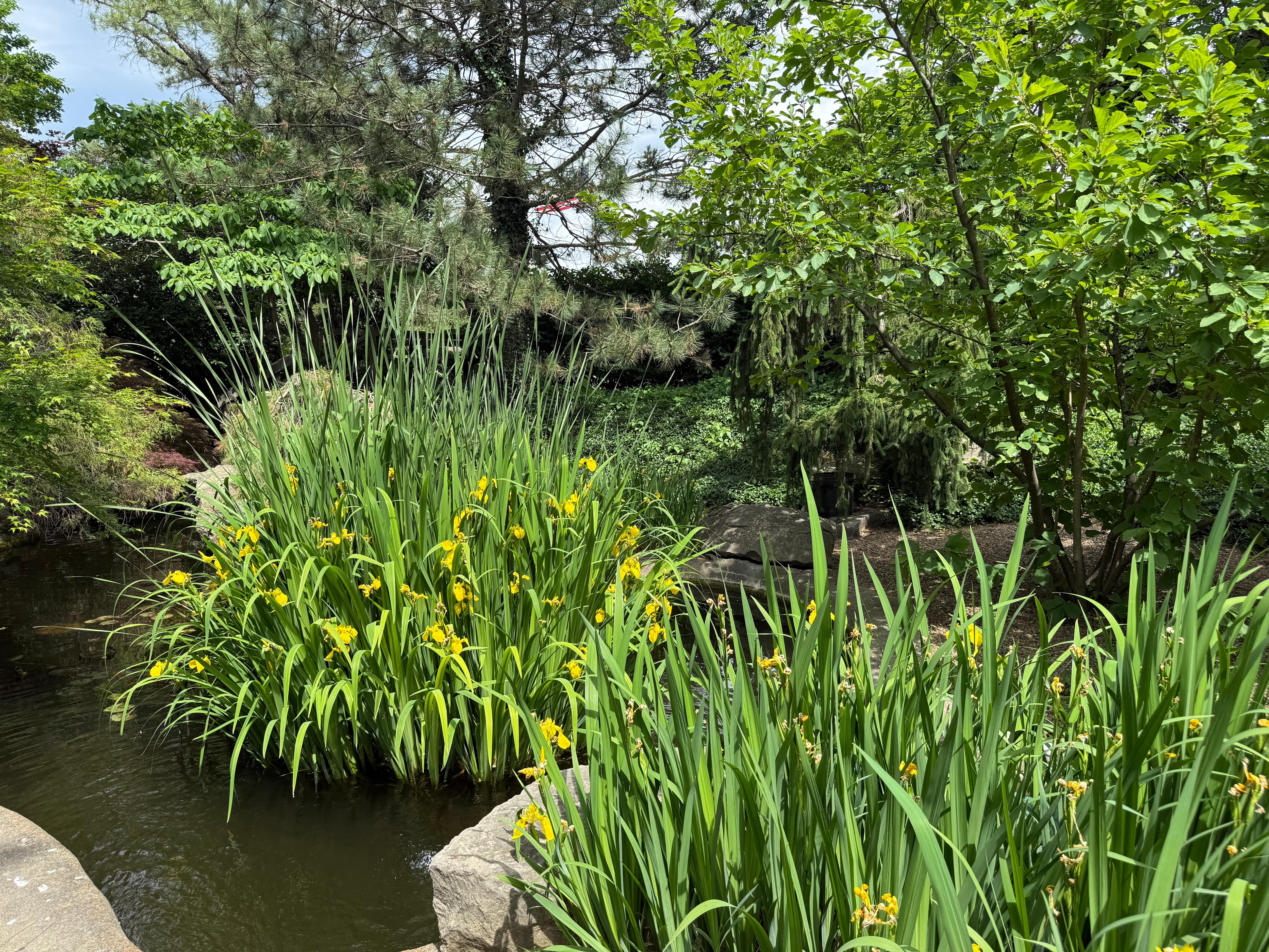 Chance Gardens 