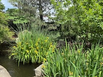 Chance Gardens