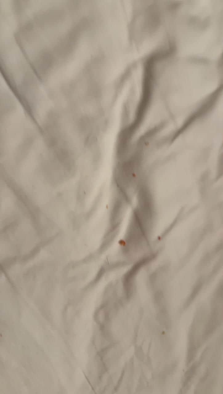 Mouse droppings & crumbs in bedsheets on check-in.