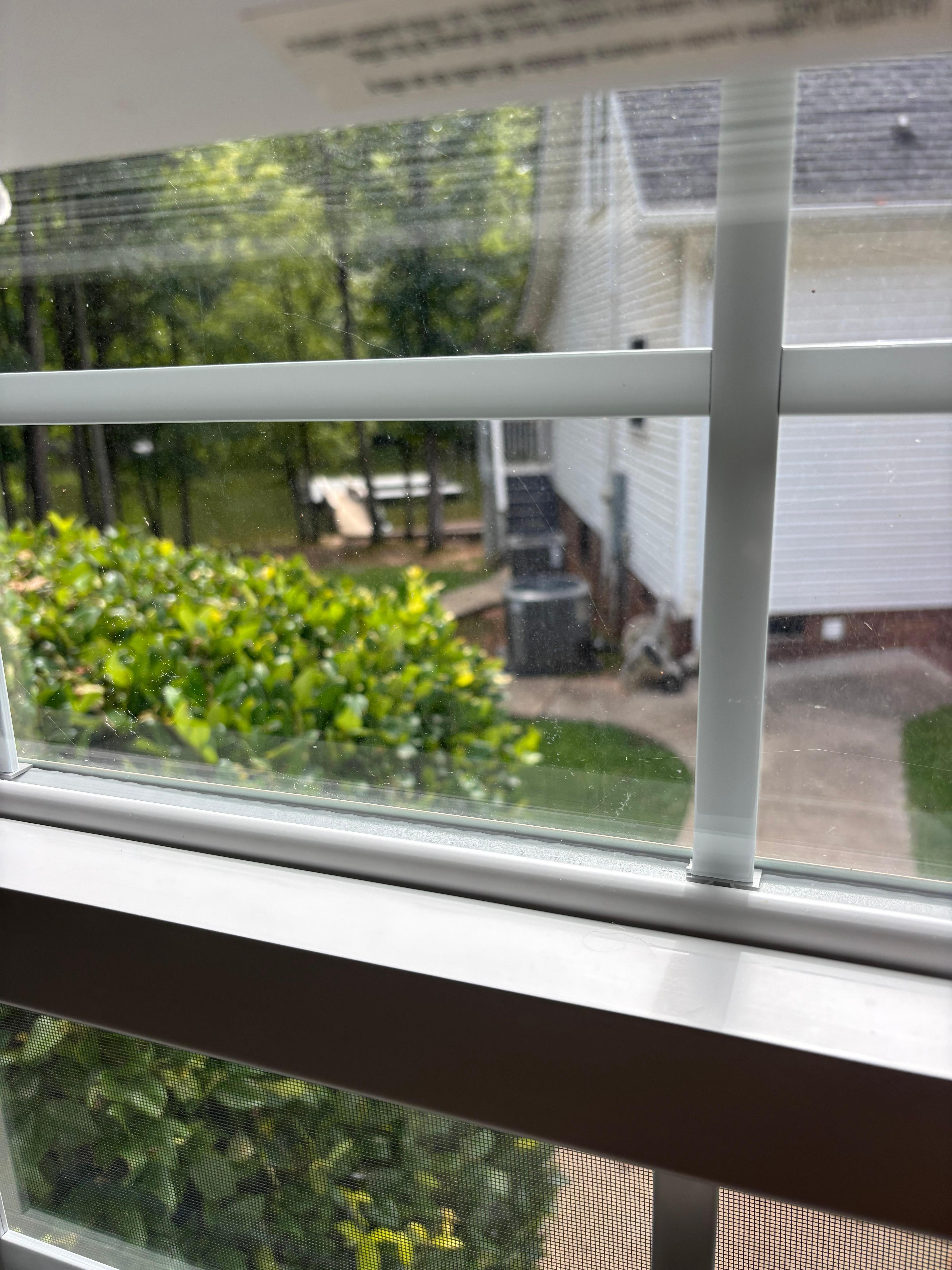 View from Kitchen window.