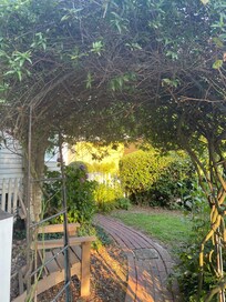 Such a sweet garden!