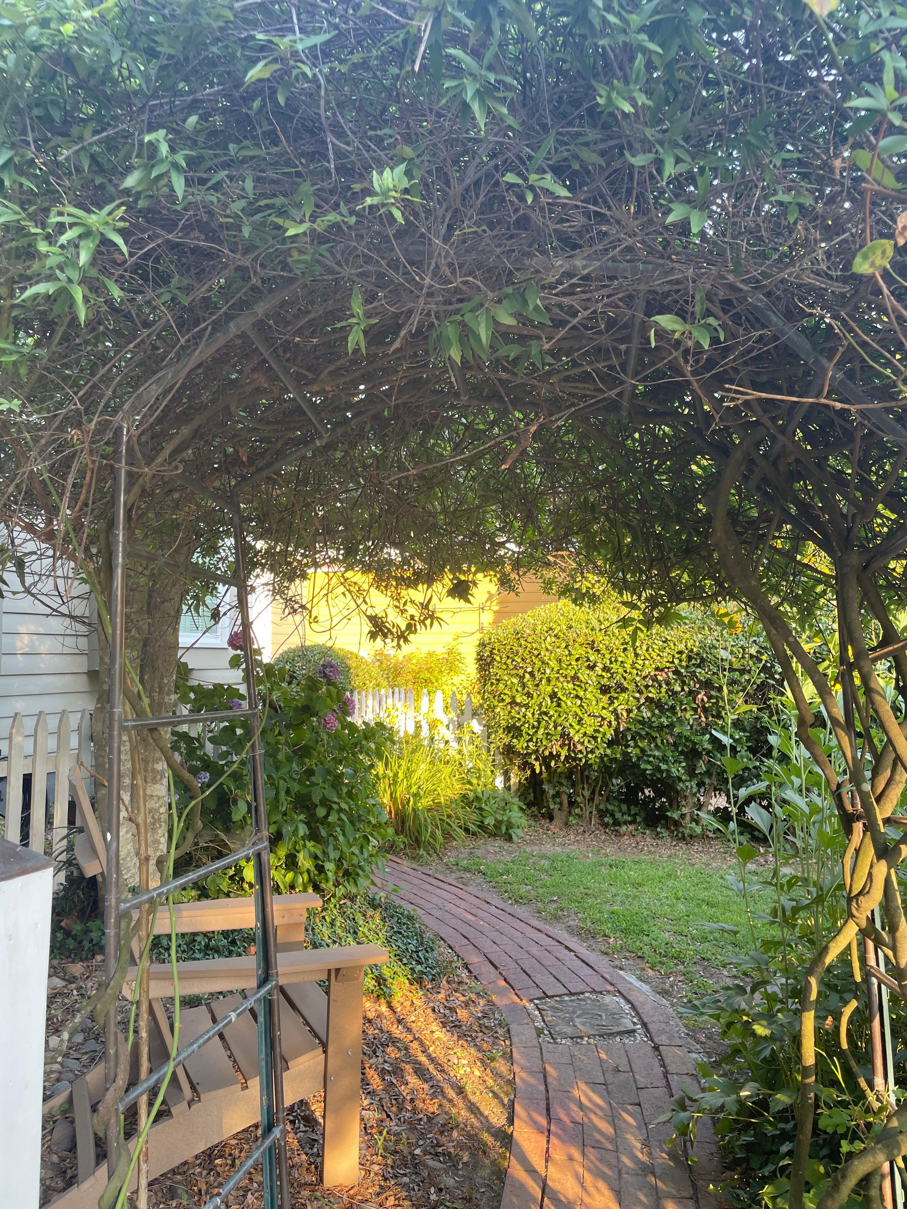 Such a sweet garden!
