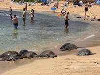 Poipu beach