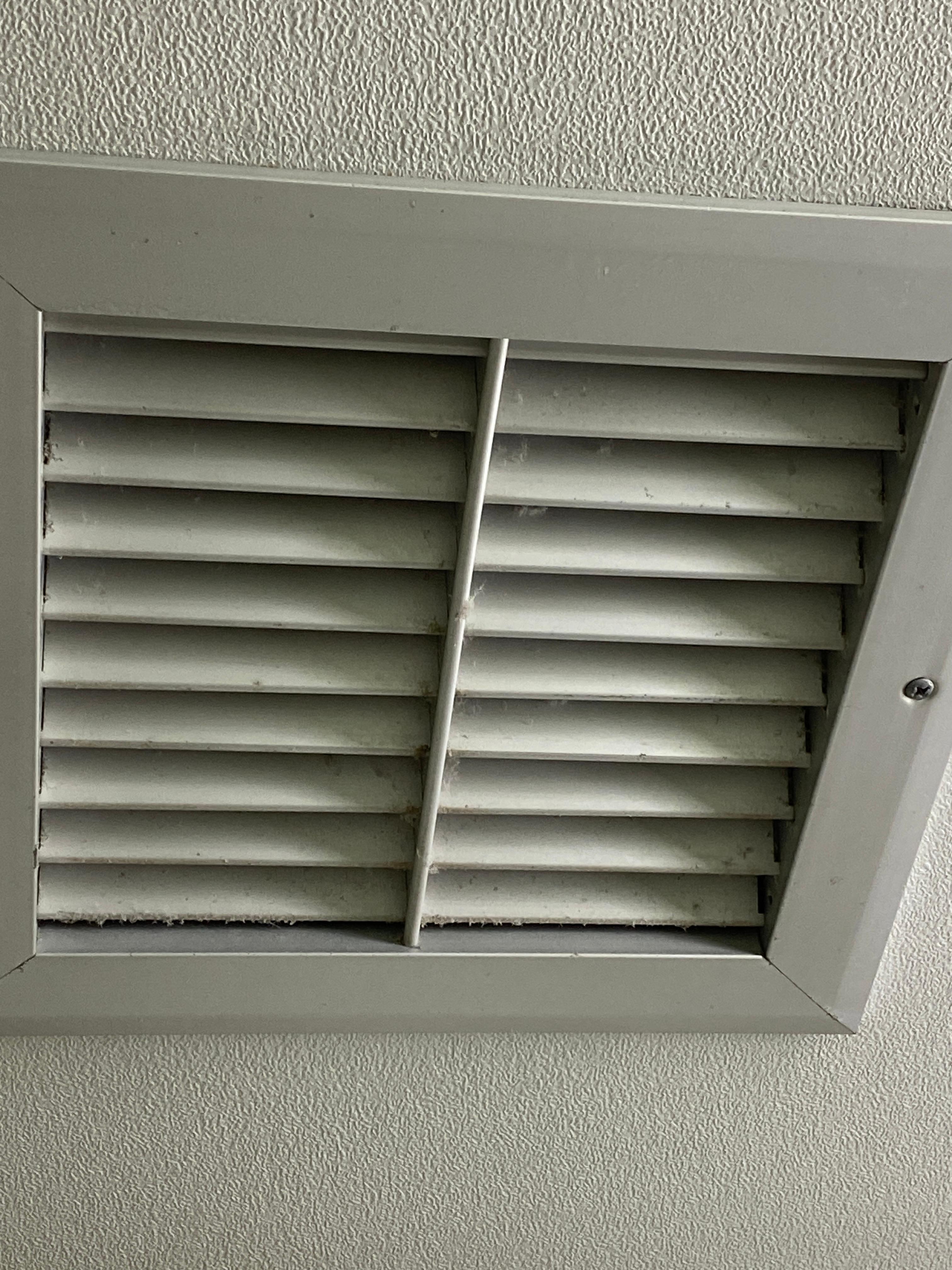 Bathroom Vent. There was so much dust hanging from it. I had to clean it up so it didn’t fall on me.