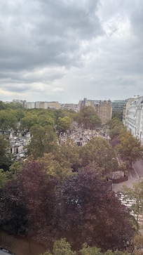 View from my room