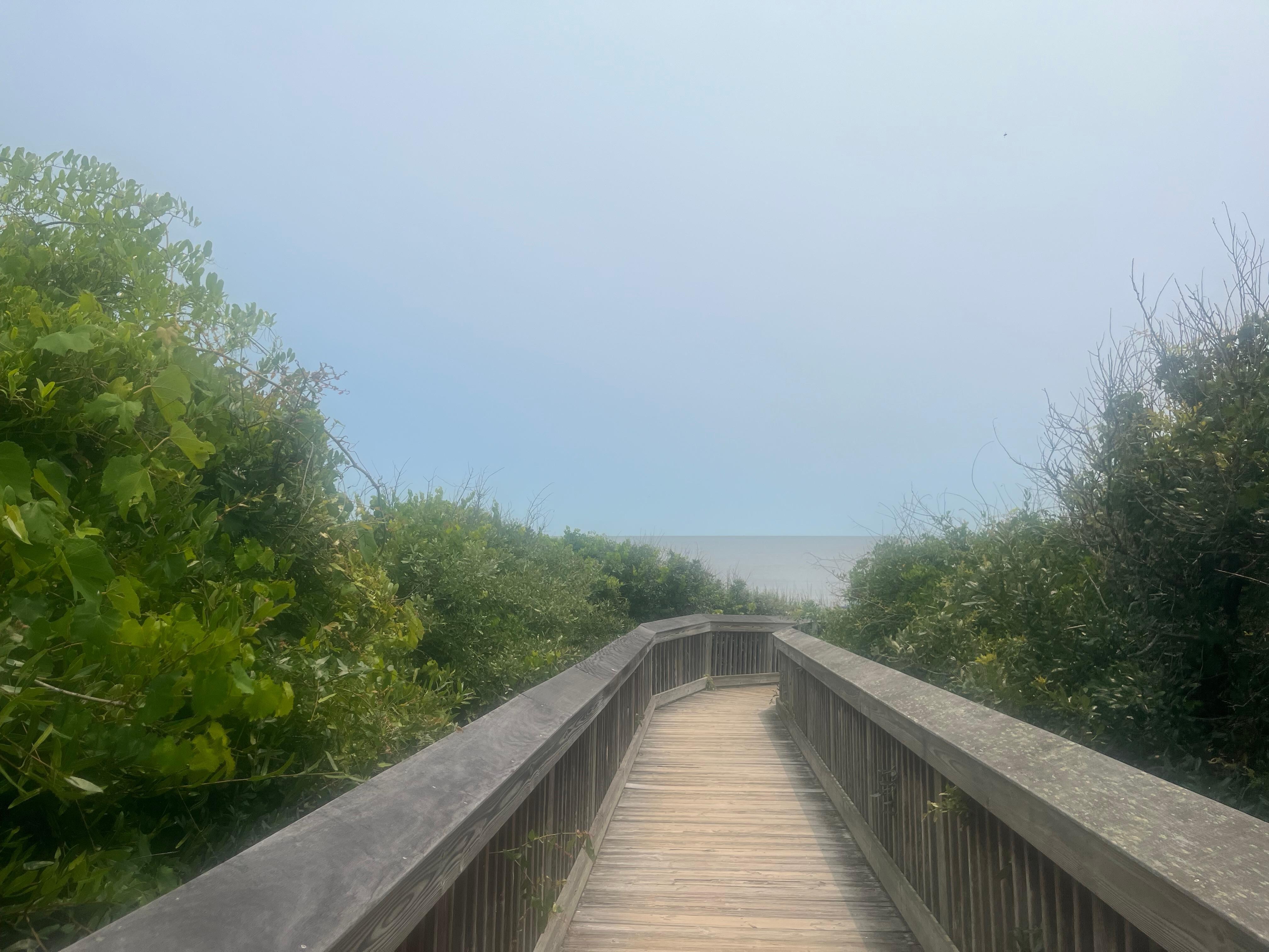 Your walk way and so beautiful. 